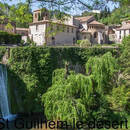 Charmante Cave Voutee 4 Personnes Saint-Jean-de-Fos المظهر الخارجي الصورة